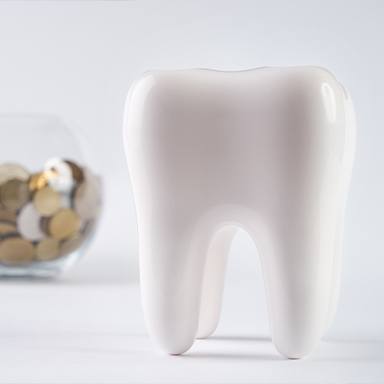 Model tooth